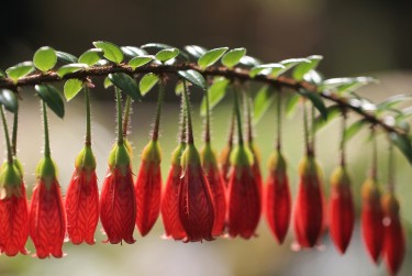 惠州惠城区1私人快速借钱网，轻松解决资金难题