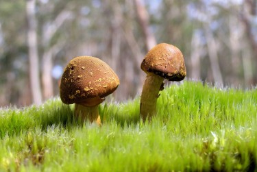 惠州惠城区1私人老板放款：轻松融资的秘密通道